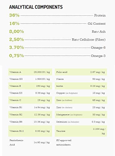 Bonacibo Super Premium Adult Chicken with Rice Dry Cat Food