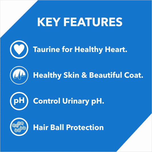 Drools Dry Food for Kittens - Ocean Fish Flavor