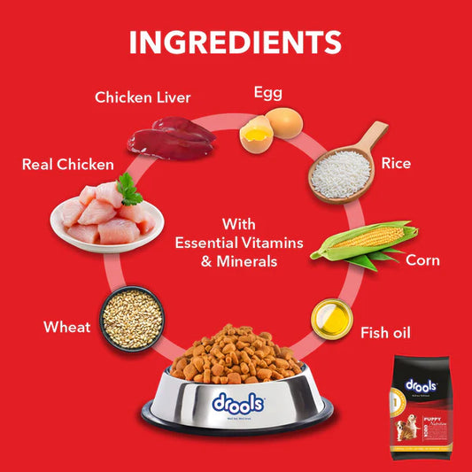 Drools Chicken & Egg Dry Puppy Dog Food