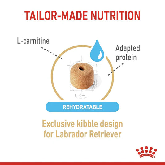 Royal Canin Labrador Retriever 5+ Adult Dry Dog Food