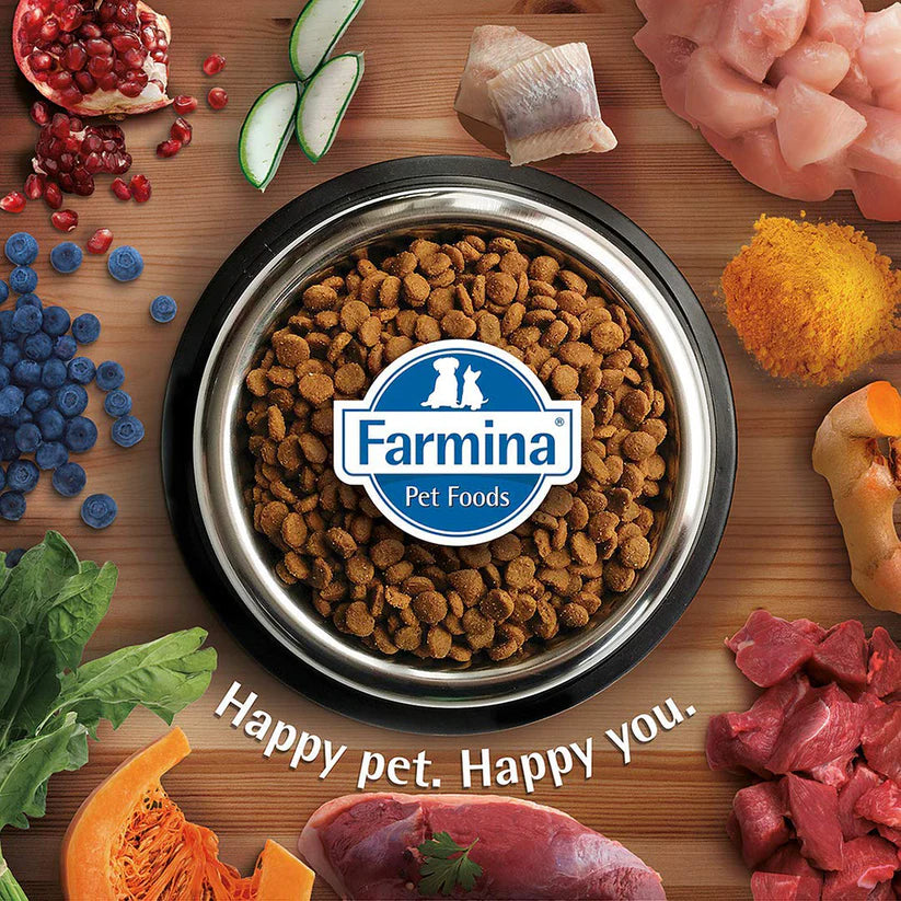 Farmina Team Breeder Top Adult Dry Dog Food - 20 kg