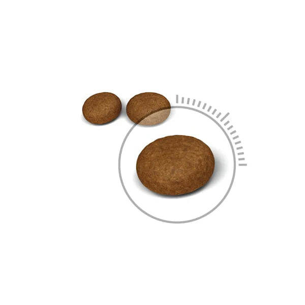 Royal Canin Hair and Skin Care Adult Dry Cat Food