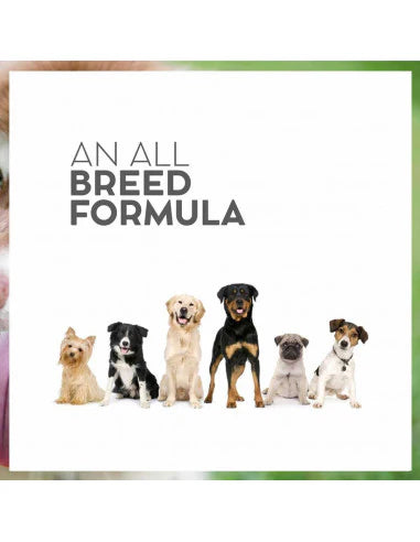 Drools Vet Pro Renal Dog Food