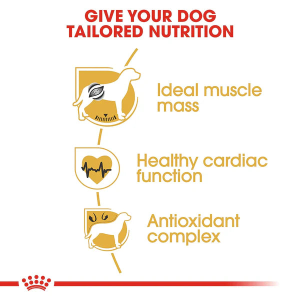 Royal Canin Boxer Adult Dry Dog Food