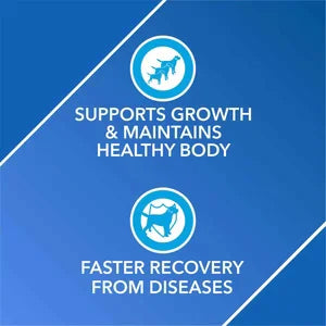 Drools Absolute Vitamin Supplement Tablets for Dogs