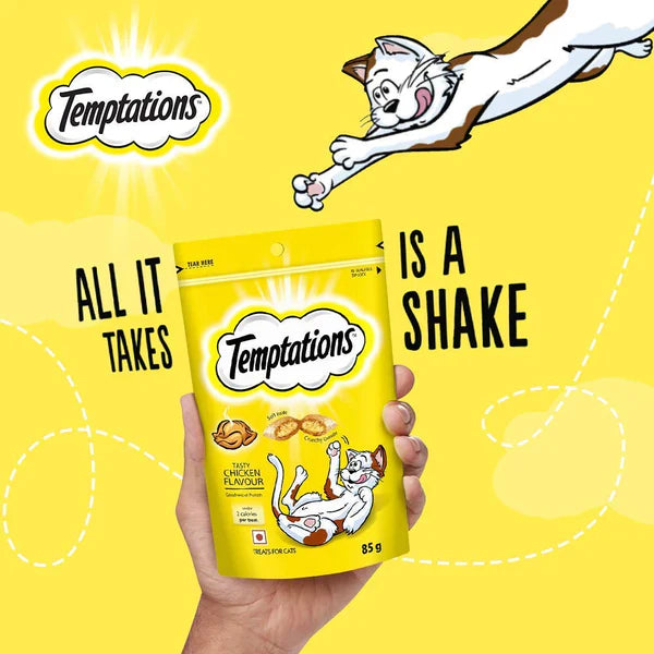 Temptations Salmon Flavor Cat Treats – Irresistible & Tasty