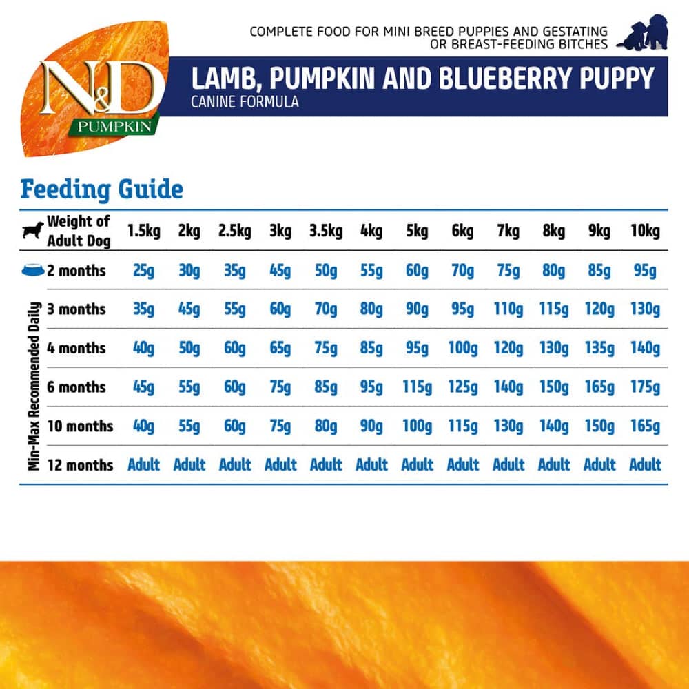 Farmina N&D Pumpkin Lamb & Blueberry Puppy Mini Dry Food