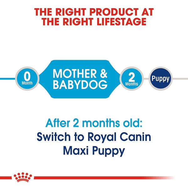 Royal Canin Maxi Starter Dog Food