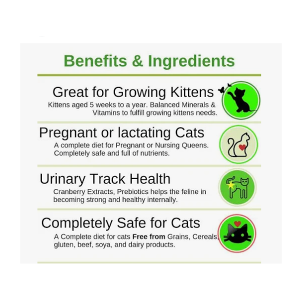 Arden Grange Kitten Food