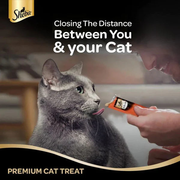 Sheba Tuna Flavor and Tuna & Prawn Maguro Selection Melty Premium Cat Treats, 48 g