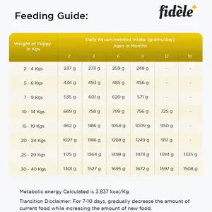 Fidele Plus Large Puppy Dry Food