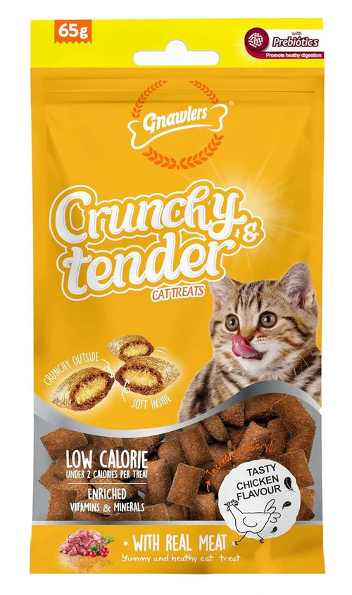 Gnawlers Crunchy & Tender Soft Cat Treats for All Life Stages, Tasty Chicken, 65 g