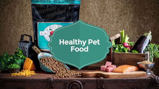 Benefits of Organic Pet Food