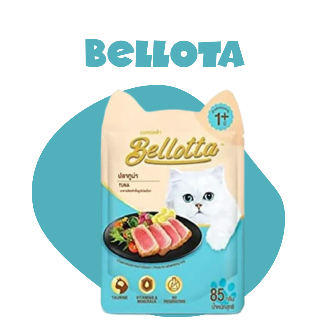 Bellotta