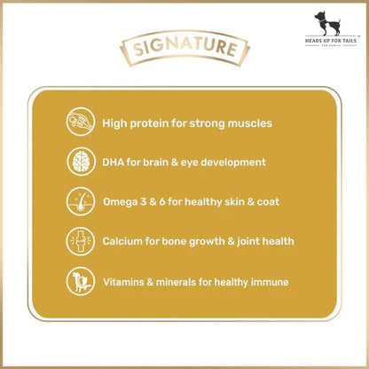 Signature Grain Zero Chicken Chunks Gravy Puppy Dog Wet Food — 150 g