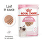 Royal Canin Loaf Wet Kitten Food — 85g