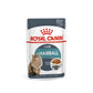 Royal Canin Hairball Care Wet Cat Food