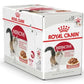 Royal Canin Instinctive Adult Gravy Cat Wet Food, 85g