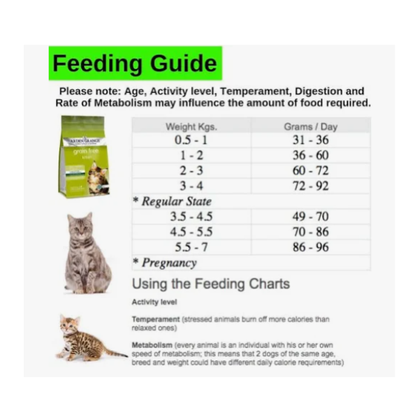 Arden Grange Kitten Food