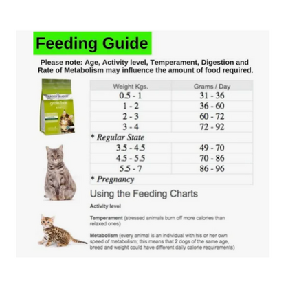Arden Grange Kitten Food