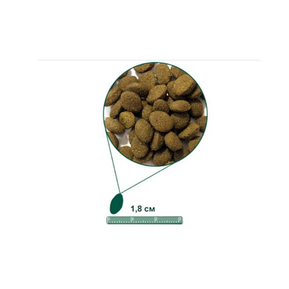 Arden Grange Salmon And Rice Adult Dog Food