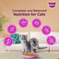 Whiskas Tuna & White Fish Cat Wet Food