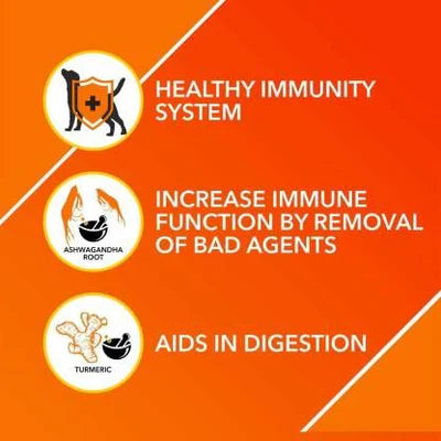 ABS IMMUNITY TABLET 110PCS