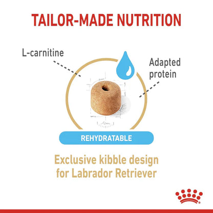 Royal Canin Labrador Retriever 5+ Adult Dry Dog Food