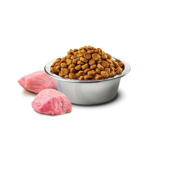 FARMINA N&D Pumpkin Dry Dog Food, Grain-Free, Adult Medium & Maxi Breed, Chicken and Pomegranate