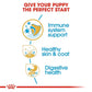 Royal Canin Cocker Spaniel Puppy Food – 3kg