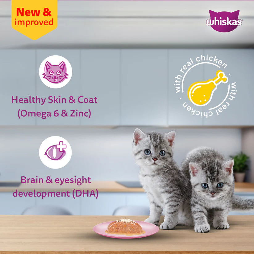 Whiskas Junior Kitten Wet Food, Chicken & Salmon in Jelly