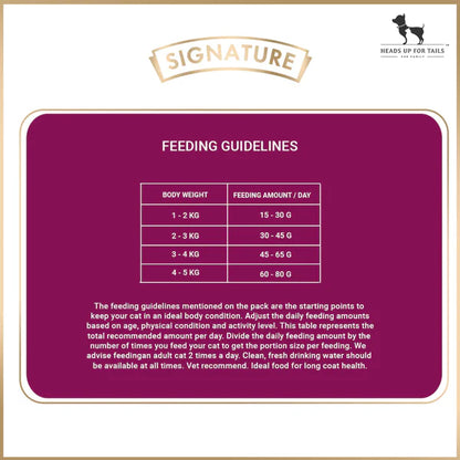 Signature Grain Zero Ocean Fish, Sardine & Mackerel Long Coat & Persian Adult Cat Dry Food