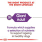 Royal Canin Giant Adult Dry Dog Food