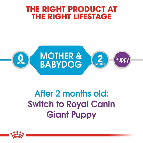 Royal Canin Giant Starter Dry Food