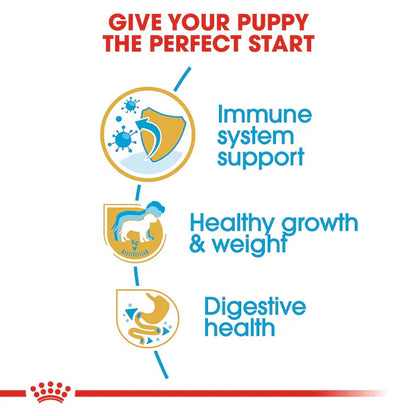 Royal Canin Labrador Retriever Puppy Food, 200g