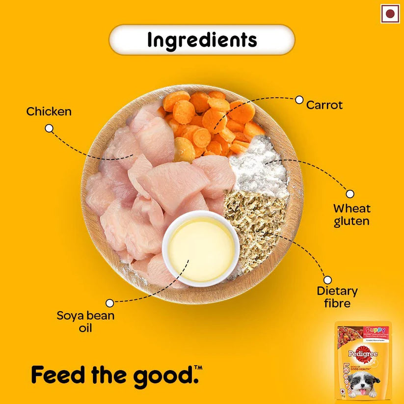 Pedigree Puppy Chicken & Chunks in Gravy — 70g