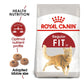 Royal Canin Fit 32 Adult Dry Cat Food