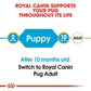 Royal Canin Pug Puppy Dog Dry Food