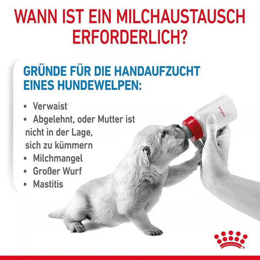 Royal Canin Baby Dog Milk Powder – 300 g
