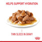 Royal Canin Hair & Skin Care Wet Cat Food Gravy - 85g