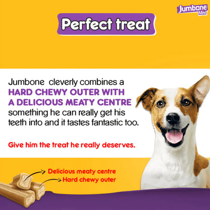 Pedigree Jumbone Mini Adult Dog Treats – 160 g
