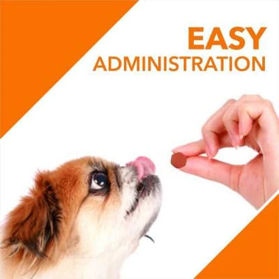 Drools Absolute Immunity Dog Supplement Tablets