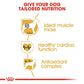 Royal Canin Boxer Adult Dry Dog Food