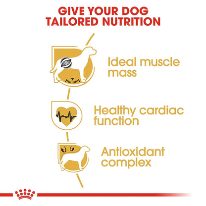 Royal Canin Boxer Adult Dry Dog Food