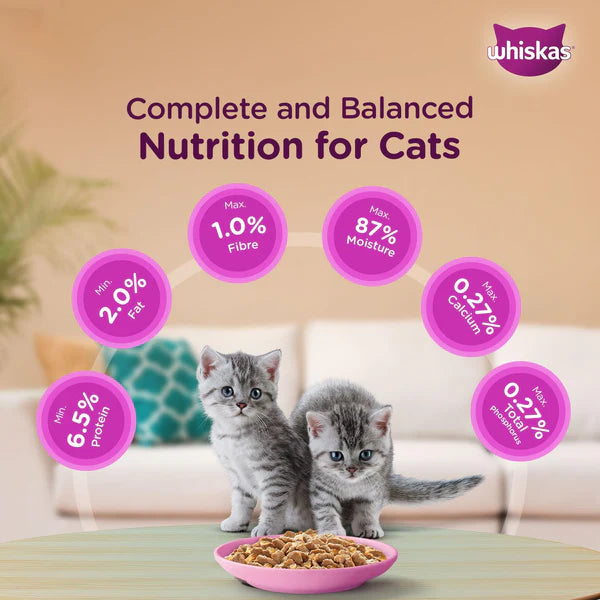 Whiskas Wet Food for Junior Kittens - Mackerel Jelly (2-12 Months)