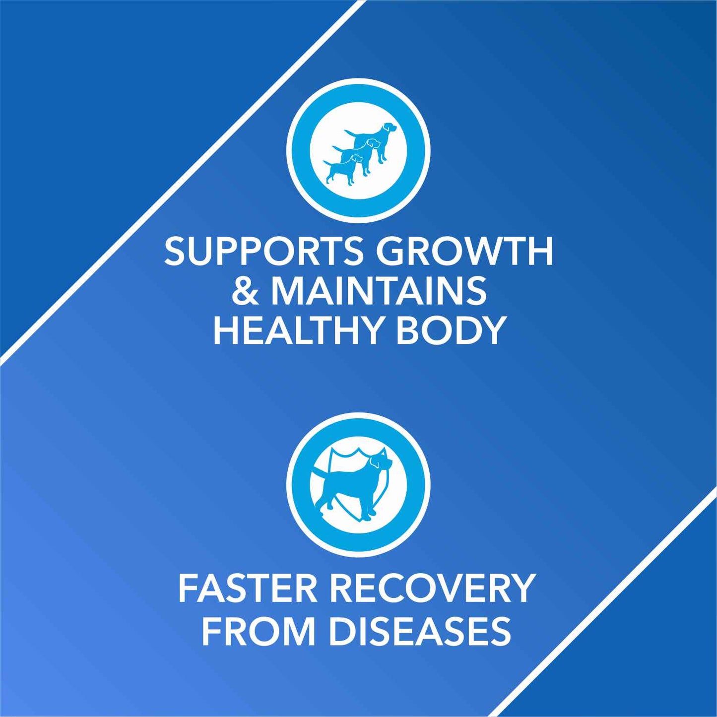 Drools Absolute Vitamin Syrup Supplement for Dogs - 300ml