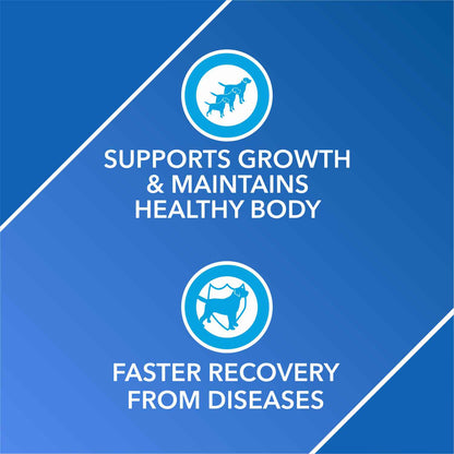 Drools Absolute Vitamin Syrup Supplement for Dogs - 300ml