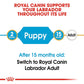 Royal Canin Labrador Retriever Puppy Food, 200g