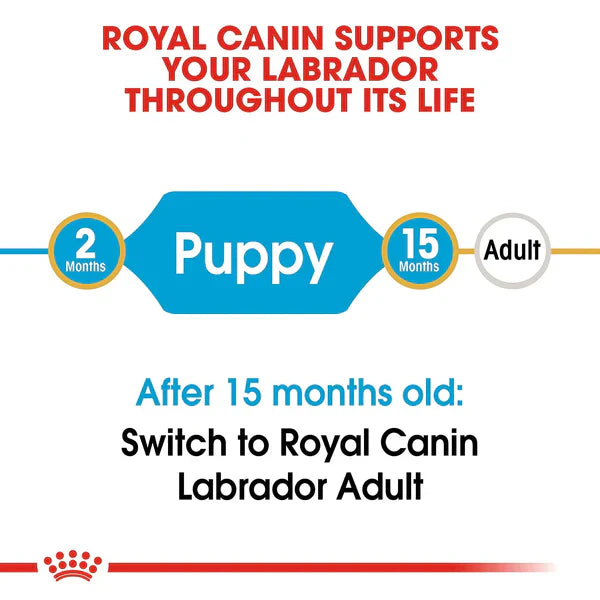 Royal Canin Labrador Retriever Puppy Food, 200g