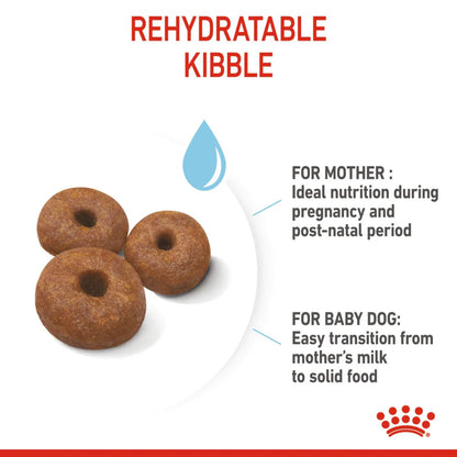 Royal Canin Giant Starter Dry Food